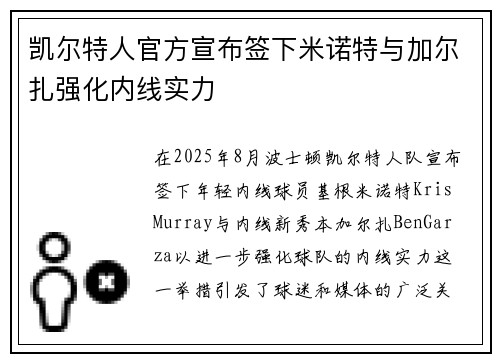 凯尔特人官方宣布签下米诺特与加尔扎强化内线实力